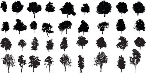 silhouette tree line drawing set, Side view, set of graphics trees elements outline symbol for architecture and landscape design drawing	