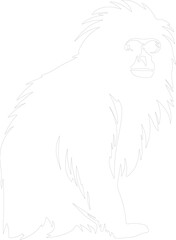 Obraz premium siamang outline