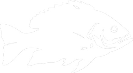 Obraz premium snapper outline
