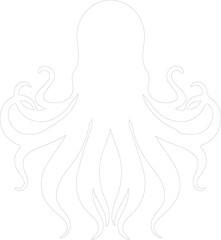 squid outline