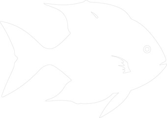 Obraz premium sunfish outline
