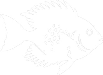 Obraz premium sunfish outline