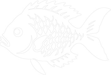 Fototapeta premium sunfish outline