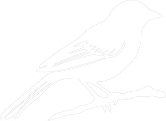tanager outline