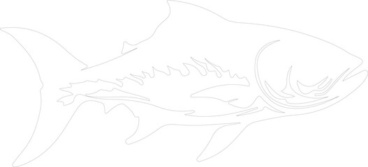 Obraz premium tarpon outline