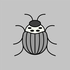 Colorado beetle vector isolated icon