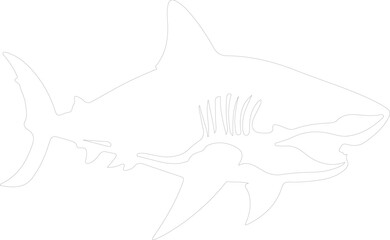 Fototapeta premium tiger shark outline