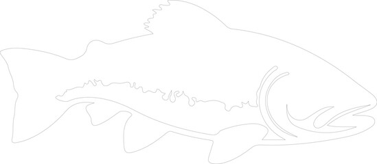 trout outline