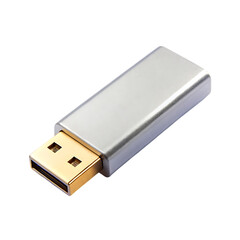 Memory stick isolated on transparent background