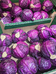 Fototapeta premium Box filled with purple cabbages for sale on market