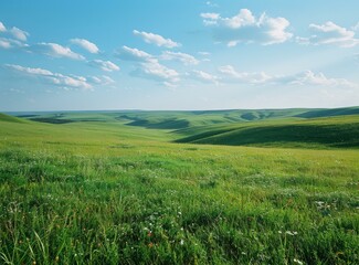 Obraz premium Vast green rolling hills under a blue sky with white clouds