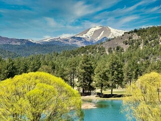 Verdant Spring at Sierra Blanca