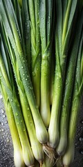 Fototapeta premium Background Photo of Fresh, Wet, and Organic Vegetables