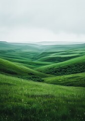 Green rolling hills under a white sky