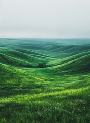 Green rolling hills under a cloudy sky