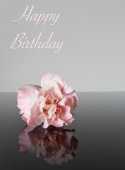 Geburtstags Grußkarte mit rosa text und einer einzelnen rosa blüte auf grauem hintergrund 
