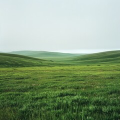 Obraz premium Vast green rolling hills under a grey sky