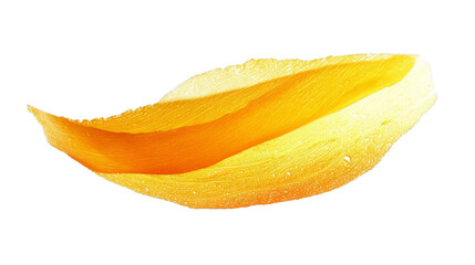 Refreshing Citrus Twist: Sliced ​​​​Orange Segment Isolated on transparent