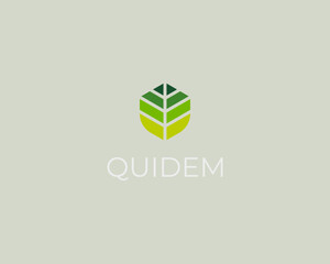 Abstract leaf gradient logo. Park garden vector icon. Creative yoga zen wellness sign.