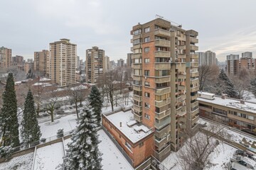 Majestic Skyscraper Embraced by Snowy Trees