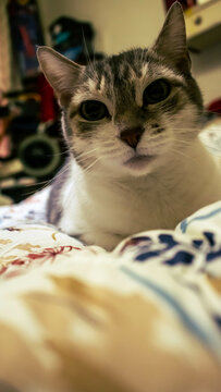 Su mirada enternecedora que roba a cualquiera