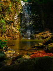 image of lush green nature in spring