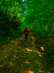 Obraz premium OLYMPUS DIGITAL CAMERA