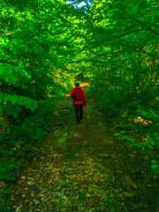 Fototapeta premium OLYMPUS DIGITAL CAMERA