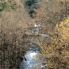 Río en un paraje de Galicia
