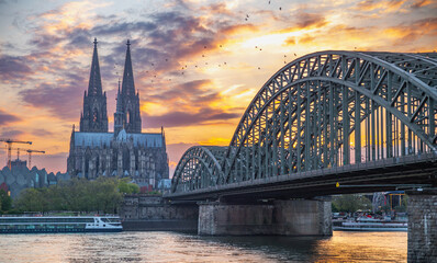 the Cologne Cathedral and Hohenzollern Bridge at sunset with birds flying in the sky