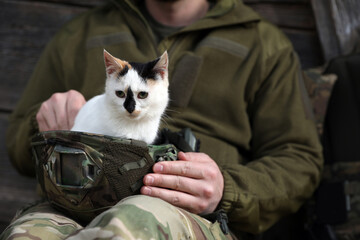 Soldier rescuing animal. Little stray cat sitting in helmet indoors, closeup