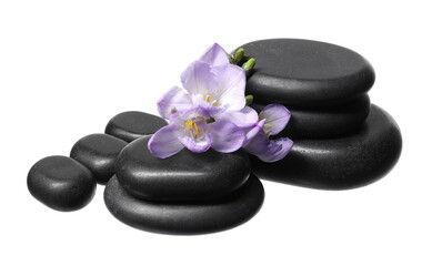 Obraz na płótnie Canvas Beautiful violet freesia flowers and stones isolated on white