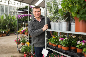 Portrait of cheerful man working in flower shop, carrying rack trolley with ornamental plants in pots