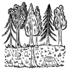 Hand drawn landscape with forest in sketch style