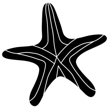 recommend clip art: Starfish