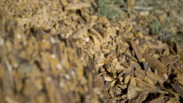 rocks of kazakhstan Mangystau