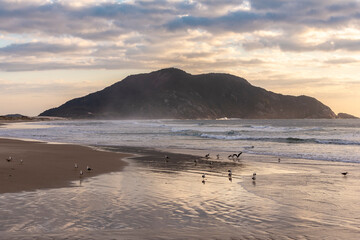 Praia e Mar no litoral Sul