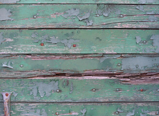 Weathered rotten wooden door with flaked green painted planks and rusty nails. Background image