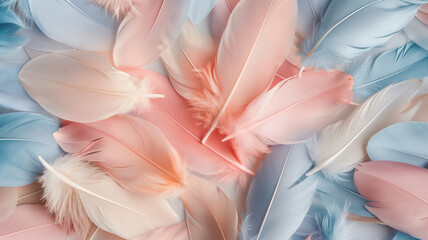 Soft feathers in pastel blue and pink tones gently overlap in a delicate, textured arrangement. - obrazy, fototapety, plakaty