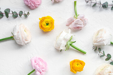 Beautiful ranunculus flowers and eucalyptus on white grunge background