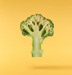 Fresh raw Brocolli cabbage falling in the air isolated on yellow backround. Healthy food levitation. High resolution image