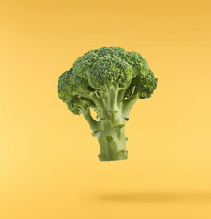 Fresh raw Brocolli cabbage falling in the air isolated on yellow backround. Healthy food levitation. High resolution image