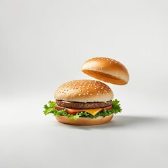 burger  on a white background
