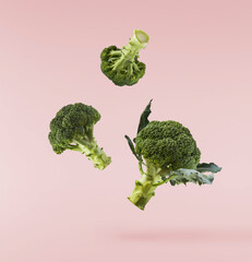 Fresh raw Brocolli cabbage falling in the air isolated on pinkk backround. Healthy food levitation....