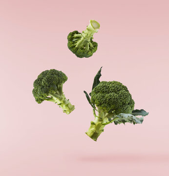 Fresh raw Brocolli cabbage falling in the air isolated on pinkk backround. Healthy food levitation. High resolution image