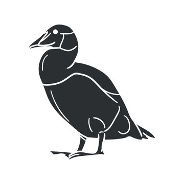 Eider Icon Silhouette Illustration. Bird Vector Graphic Pictogram Symbol Clip Art. Doodle Sketch Black Sign.