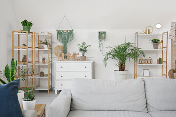 Stylish living room with houseplants and sofa