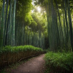 Narrow dirt path winds through dense bamboo forest. Tall, green bamboo stalks reach high into sky, creating canopy overhead, blocking out most of sunlight. Sun peeks through bamboo.