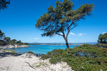 Sithonia coastline near Karydi Beach, Chalkidiki, Greece