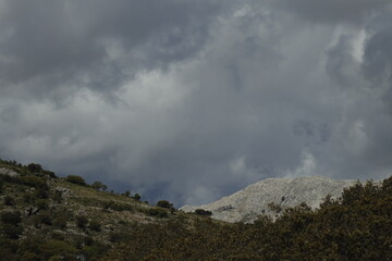 PARQUE NATURAL SIERRA DE LAS NIEVES. ANDALUCIA. ESPAÑA. 